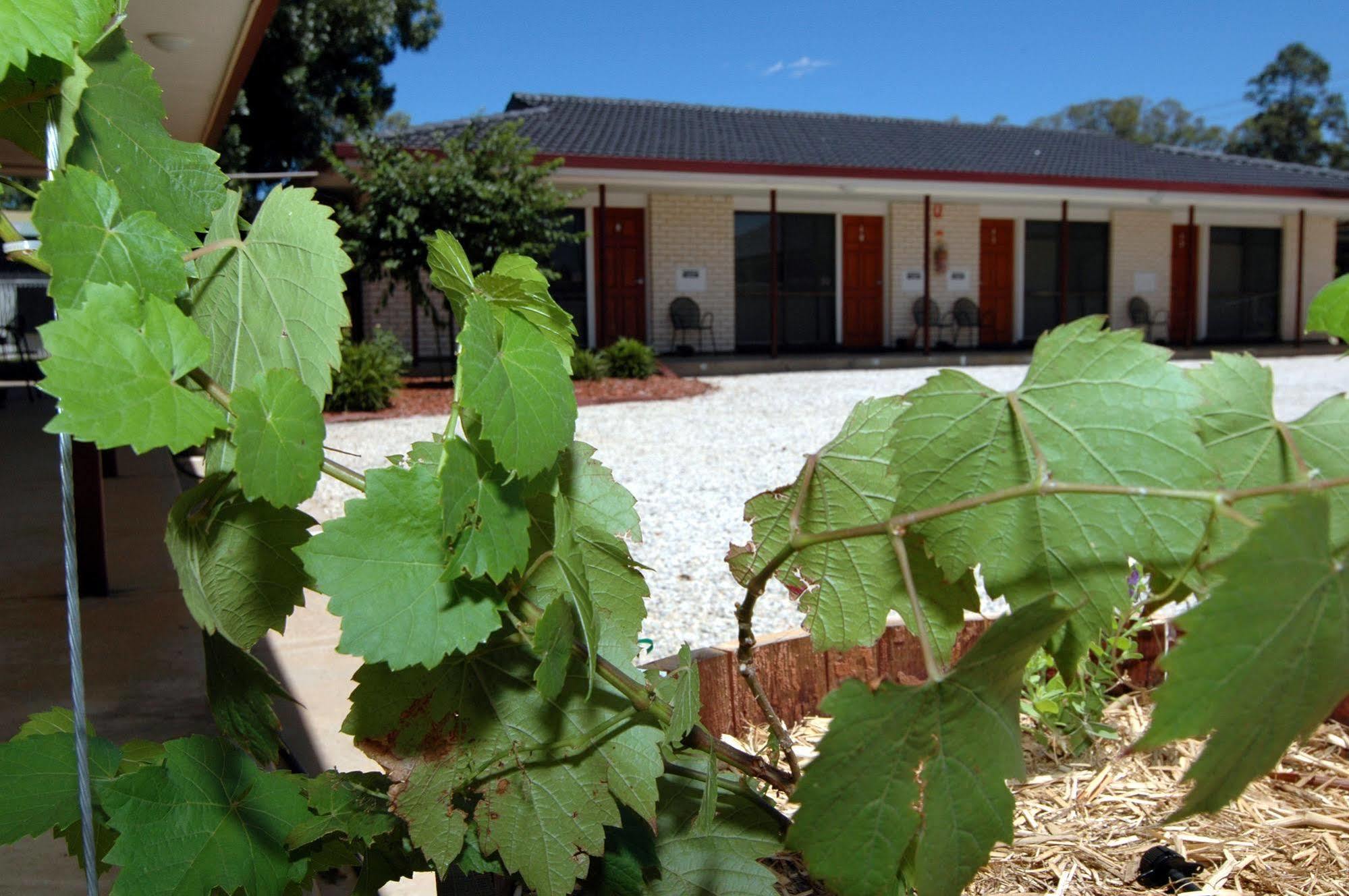 Motel Woongarra Rutherglen Exterior photo